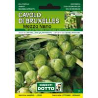Vegetable seeds - Brussels Broccoli half dwarf - Sem. Dotto