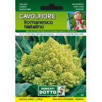 Sementi da Orto - Cauliflower Romanesco Natalino - Sem. Dotto