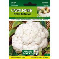 Sementi da Orto - Cauliflower Snow Ball - Sem. Dotto