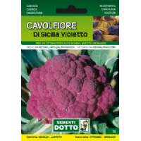 Sementi da Orto - Purple Sicilian Cauliflower - Sem. Dotto