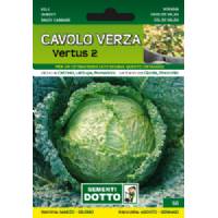 Vegetable seeds - Savoy cabbage Vertus 2 - Sem. Dotto