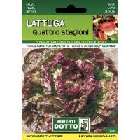 Vegetable Garden Seeds - Four Seasons Lettuce - Sem. Dotto
