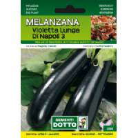 Vegetable Seeds - Long Violet Aubergine of Naples 3 - Sem. Dotto