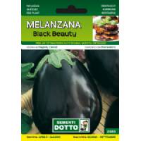 Vegetable Seeds - Aubergine Black Beauty - Sem. Dotto