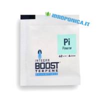 Integra Boost - Pinene Flavor Terpenes 4gr 62%