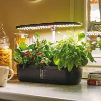 Indoor hydroponic vegetable garden 12 cells - Verdemax