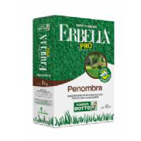 Prato Erbella Penombra 1kg - Sem. Dotto