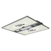 Pure LED Q320 V2.0 lamp (320W)