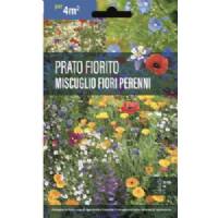 Flowering Meadow Mixture Perennial Flowers - Sem. Dotto