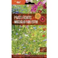 Flower Meadow Mixture for Summer Flowers - Sem. Dotto