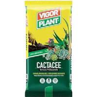 Soil for Cactaceae 20 LT - Vigorplant