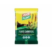 Carnivorous Plants 5LT - Vigorplant