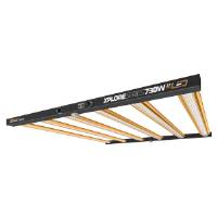 Xplore Series 730w LED lamp - Dimlux