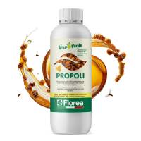 Florea - Propolis 500gr