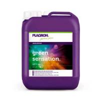 PLAGRON GREEN SENSATION 5L