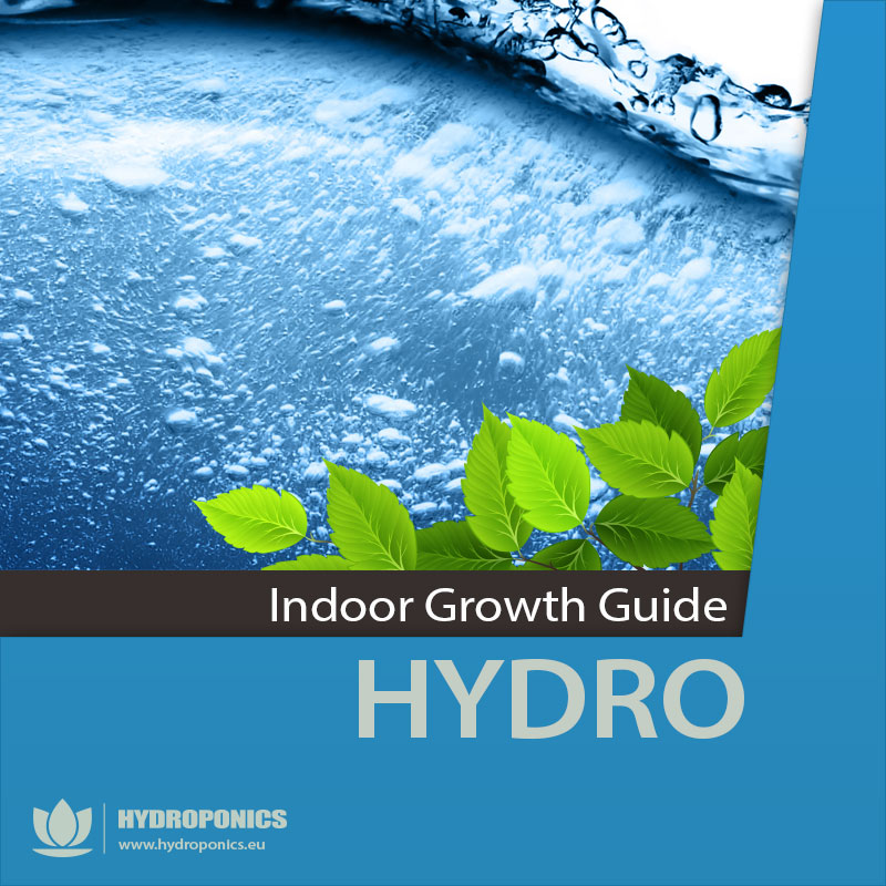 Hydroponic growing guide step by step