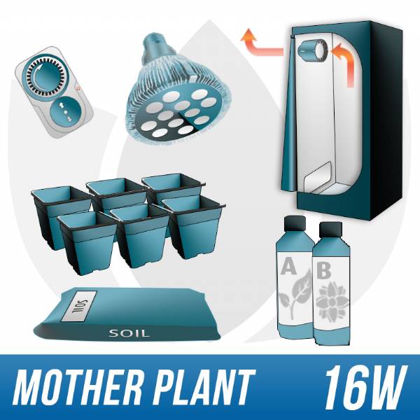 Indoor Growing Kit For Mother Plants