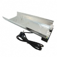  Mammoth Neon Reflector2x55W