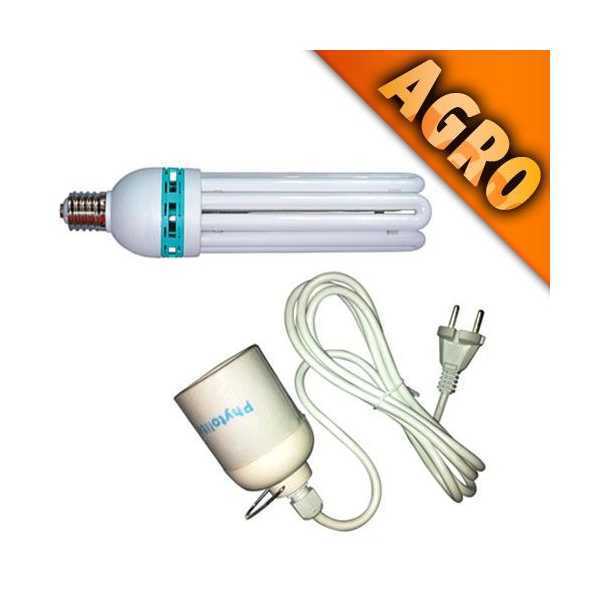 cfl lamp sockets