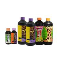 Mega Pack B'Cuzz TERRA