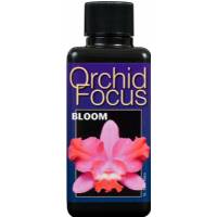 Orchid Focus Bloom - Growth Technology