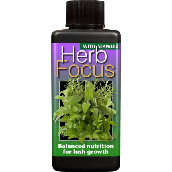 Herb Focus Growth Technology