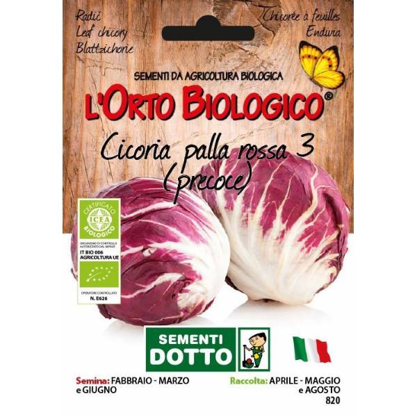 LEAF CHICORY  Early Ball Type 3 - 3,8gr  - Bio Garden Seeds by Sementi Dotto 